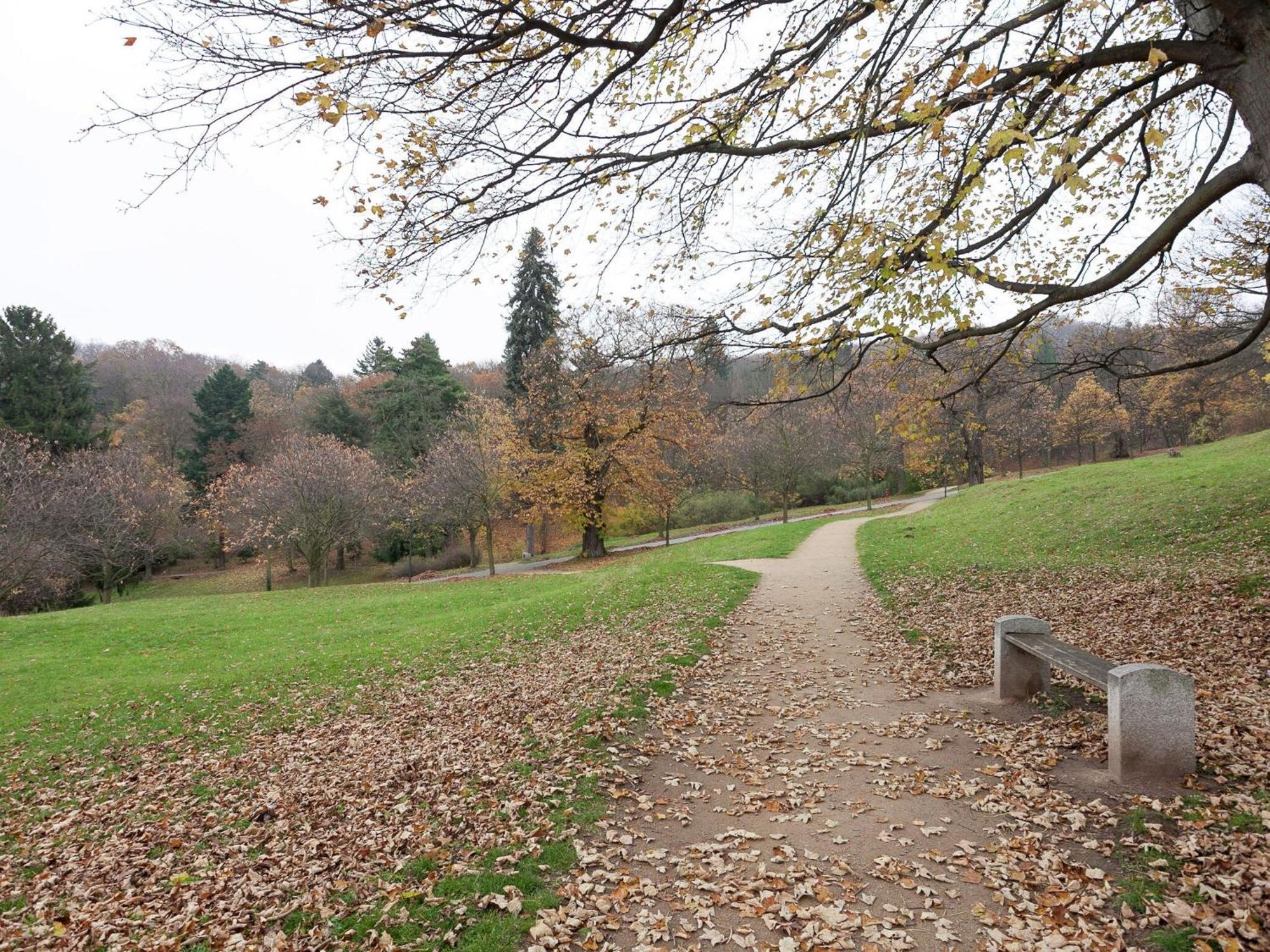 Voigtsdorf Beautiful Apartment In D Rnthal Near The Forest מראה חיצוני תמונה